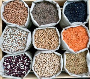 Fibres dans notre alimentation
